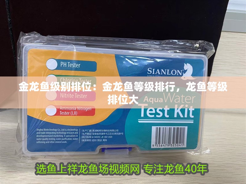 金龍魚級(jí)別排位：金龍魚等級(jí)排行，龍魚等級(jí)排位大