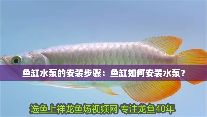 魚缸水泵的安裝步驟：魚缸如何安裝水泵？