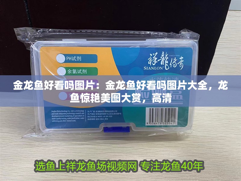 金龍魚好看嗎圖片：金龍魚好看嗎圖片大全，龍魚驚艷美圖大賞，高清
