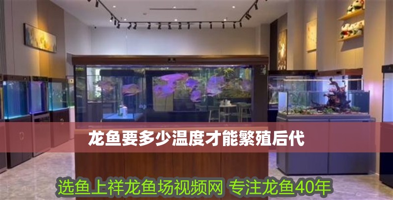 龍魚要多少溫度才能繁殖后代