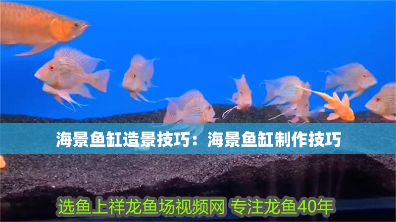 海景魚缸造景技巧：海景魚缸制作技巧