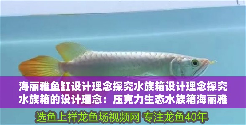 海麗雅魚缸設計理念探究水族箱設計理念探究水族箱的設計理念：壓克力生態水族箱海麗雅魚缸
