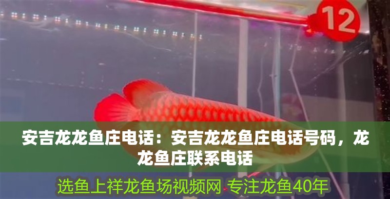 安吉龍龍魚莊電話：安吉龍龍魚莊電話號碼，龍龍魚莊聯系電話