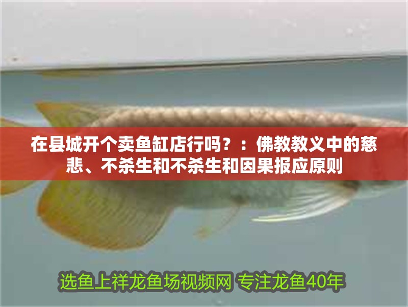 在縣城開個賣魚缸店行嗎？：佛教教義中的慈悲、不殺生和不殺生和因果報應原則