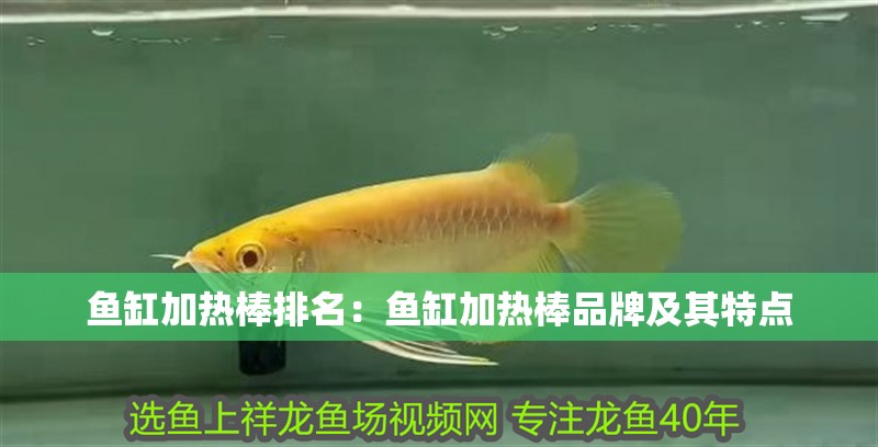 魚缸加熱棒排名：魚缸加熱棒品牌及其特點 魚缸加熱棒排名：魚缸加熱棒品牌及其特點 魚缸百科