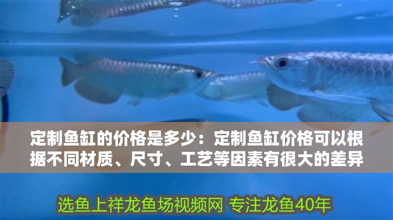 定制魚缸的價格是多少：定制魚缸價格可以根據不同材質、尺寸、工藝等因素有很大的差異