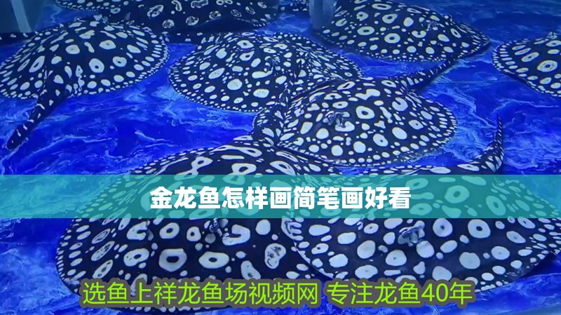 金龍魚怎樣畫簡筆畫好看