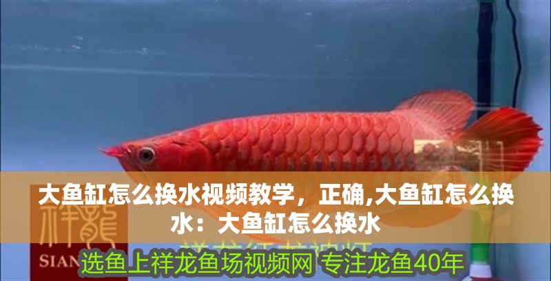 大魚缸怎么換水視頻教學，正確,大魚缸怎么換水：大魚缸怎么換水