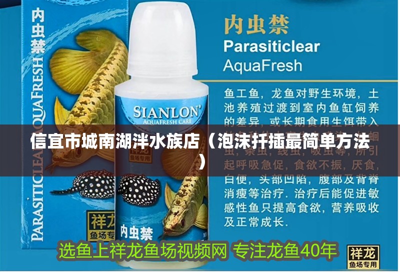 信宜市城南湖泮水族店（泡沫扦插最簡單方法）