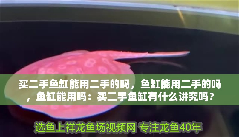 買二手魚缸能用二手的嗎，魚缸能用二手的嗎，魚缸能用嗎：買二手魚缸有什么講究嗎？