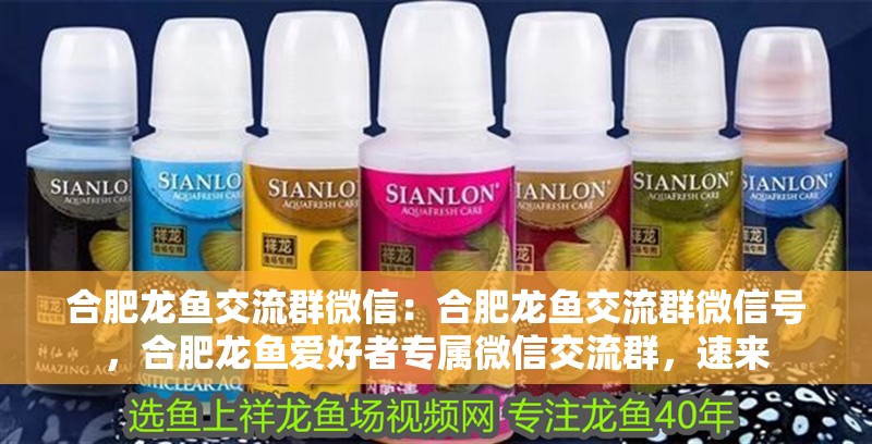 合肥龍魚交流群微信：合肥龍魚交流群微信號，合肥龍魚愛好者專屬微信交流群，速來