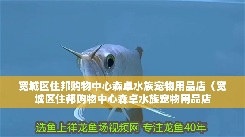 寬城區住邦購物中心森卓水族寵物用品店（寬城區住邦購物中心森卓水族寵物用品店