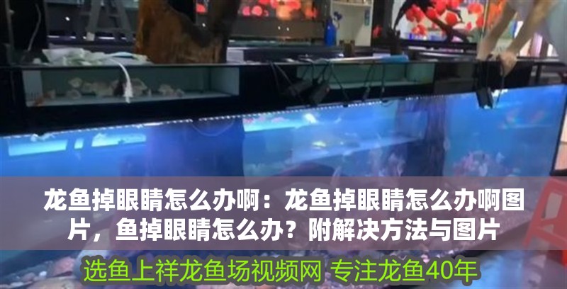 龍魚掉眼睛怎么辦啊：龍魚掉眼睛怎么辦啊圖片，魚掉眼睛怎么辦？附解決方法與圖片