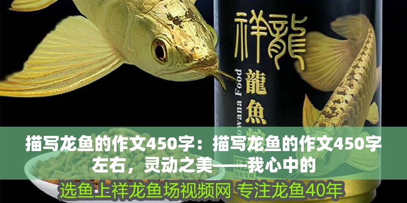 描寫龍魚的作文450字：描寫龍魚的作文450字左右，靈動之美——我心中的