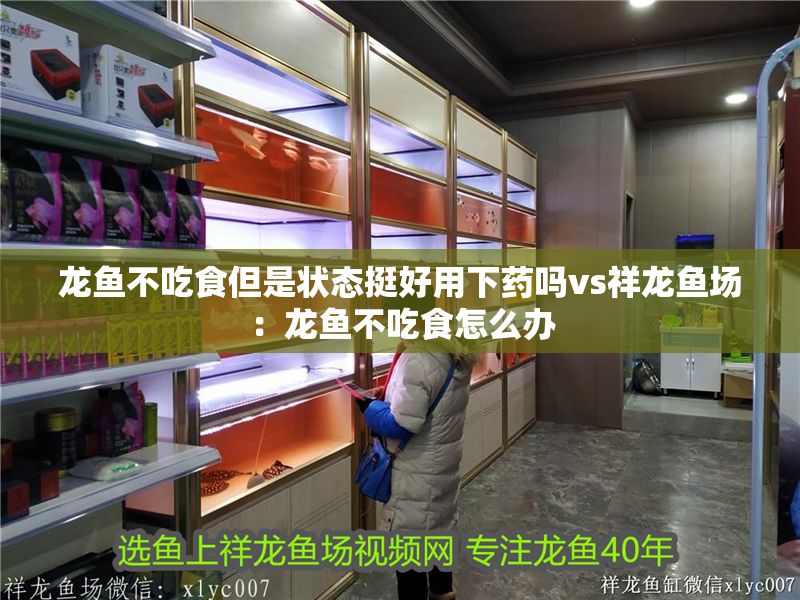 龍魚不吃食但是狀態(tài)挺好用下藥嗎vs祥龍魚場(chǎng)：龍魚不吃食怎么辦