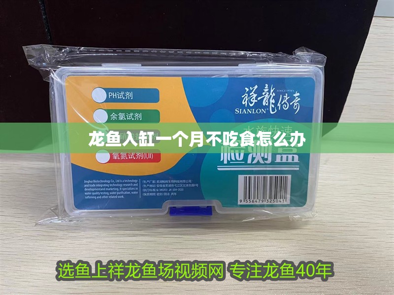 龍魚入缸一個月不吃食怎么辦