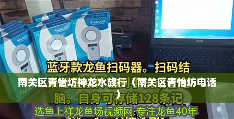 南關區青怡坊神龍水族行（南關區青怡坊電話）