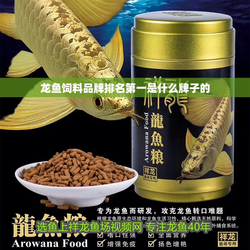 龍魚(yú)飼料品牌排名第一是什么牌子的