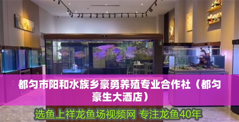 都勻市陽和水族鄉(xiāng)豪勇養(yǎng)殖專業(yè)合作社（都勻豪生大酒店）