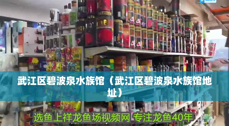 武江區碧波泉水族館（武江區碧波泉水族館地址） 武江區碧波泉水族館（武江區碧波泉水族館地址） 全國水族館企業名錄 第2張