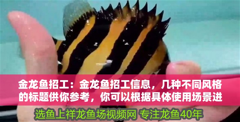 金龍魚招工：金龍魚招工信息，幾種不同風格的標題供你參考，你可以根據具體使用場景進行選擇，，直白型，金龍魚火熱招工，速來關注！，吸引眼球型，驚爆！金龍魚開啟大規模招工行動，實用導向型，金龍魚最新招工資訊全