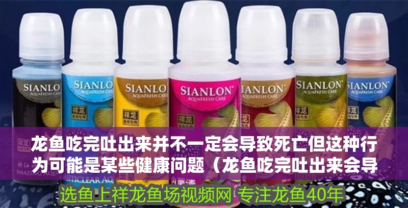 龍魚吃完吐出來并不一定會導致死亡但這種行為可能是某些健康問題（龍魚吃完吐出來會導致死亡，但這種行為可能是某些健康問題的表現）