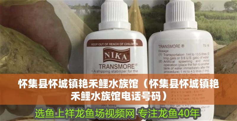 懷集縣懷城鎮(zhèn)艷禾鯉水族館（懷集縣懷城鎮(zhèn)艷禾鯉水族館電話號碼）