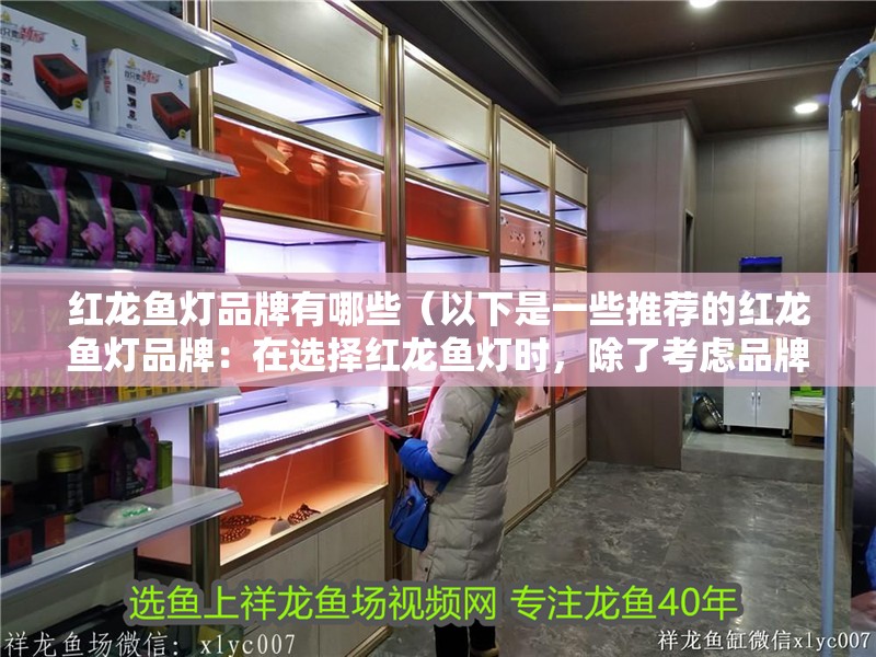 紅龍魚燈品牌有哪些（以下是一些推薦的紅龍魚燈品牌：在選擇紅龍魚燈時，除了考慮品牌）
