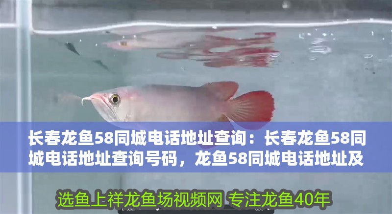 長春龍魚58同城電話地址查詢：長春龍魚58同城電話地址查詢號碼，龍魚58同城電話地址及查詢