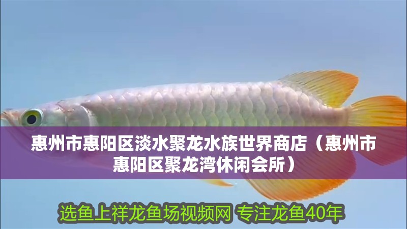 惠州市惠陽區(qū)淡水聚龍水族世界商店（惠州市惠陽區(qū)聚龍灣休閑會所）