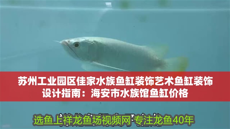蘇州工業園區佳家水族魚缸裝飾藝術魚缸裝飾設計指南：海安市水族館魚缸價格