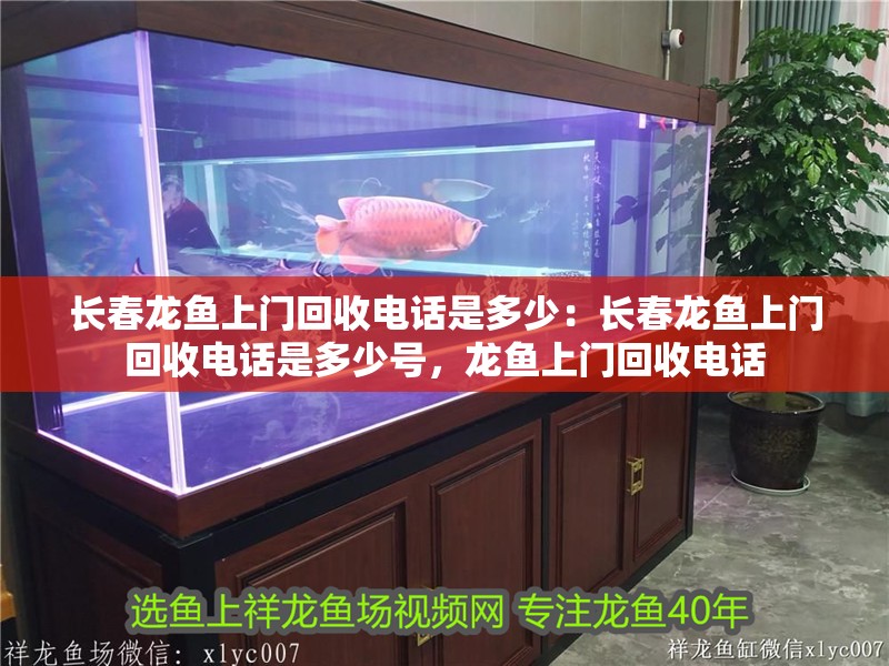 長春龍魚上門回收電話是多少：長春龍魚上門回收電話是多少號，龍魚上門回收電話