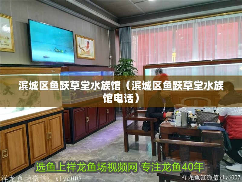 濱城區魚躍草堂水族館（濱城區魚躍草堂水族館電話）