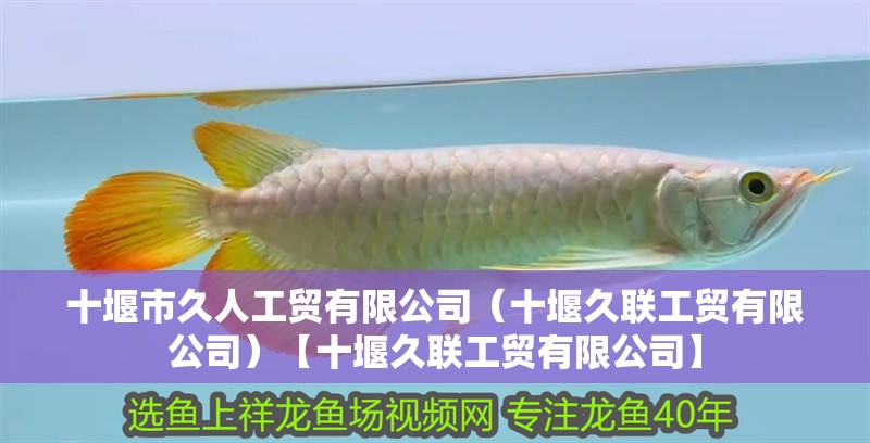 <strong><mark>十堰</mark></strong>市久人工貿有限公司（<strong><mark>十堰</mark></strong>久聯工貿有限公司）【<strong><mark>十堰</mark></strong>久聯工貿有限公司】