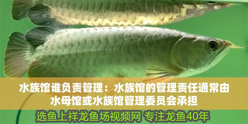 水族館誰負(fù)責(zé)管理：水族館的管理責(zé)任通常由水母館或水族館管理委員會(huì)承擔(dān)