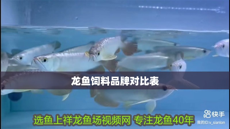 龍魚飼料品牌對比表