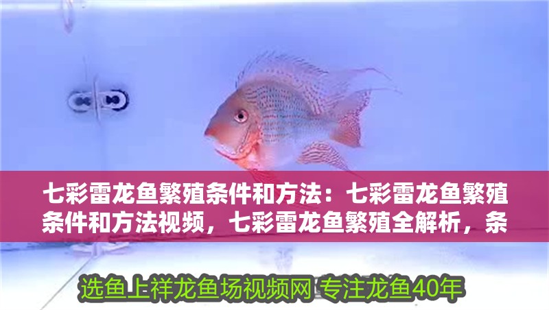 七彩雷龍魚繁殖條件和方法：七彩雷龍魚繁殖條件和方法視頻，七彩雷龍魚繁殖全解析，條件與實操方法視頻 七彩雷龍魚繁殖條件和方法：七彩雷龍魚繁殖條件和方法視頻，七彩雷龍魚繁殖全解析，條件與實操方法視頻 水族問答