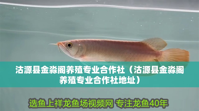 沽源縣金淼閣養殖專業合作社（沽源縣金淼閣養殖專業合作社地址）