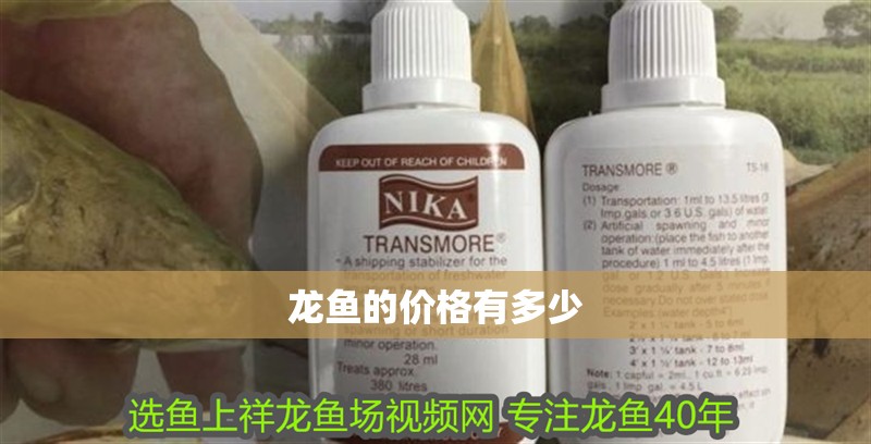 龍魚的價格有多少