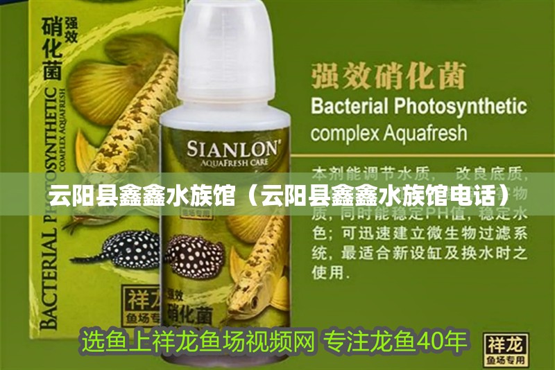 云陽縣鑫鑫水族館（云陽縣鑫鑫水族館電話）