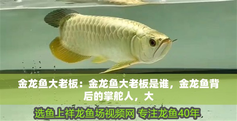 金龍魚大老板：金龍魚大老板是誰，金龍魚背后的掌舵人，大