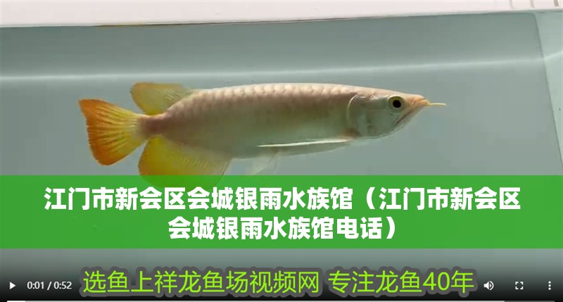 江門(mén)市新會(huì)區(qū)會(huì)城銀雨水族館（江門(mén)市新會(huì)區(qū)會(huì)城銀雨水族館電話）
