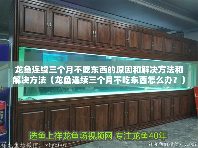 龍魚連續(xù)三個月不吃東西的原因和解決方法和解決方法（龍魚連續(xù)三個月不吃東西怎么辦？）