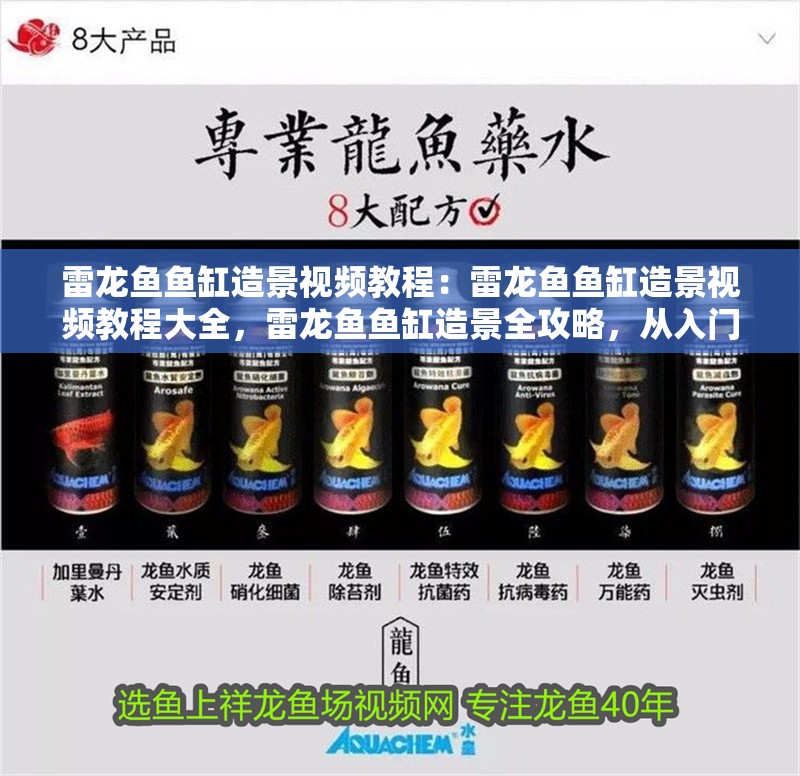 雷龍魚魚缸造景視頻教程：雷龍魚魚缸造景視頻教程大全，雷龍魚魚缸造景全攻略，從入門到精通的視頻
