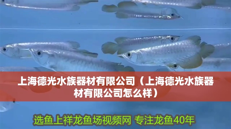 上海德光水族器材有限公司（上海德光水族器材有限公司怎么樣） 上海德光水族器材有限公司（上海德光水族器材有限公司怎么樣） 全國水族館企業名錄 第2張