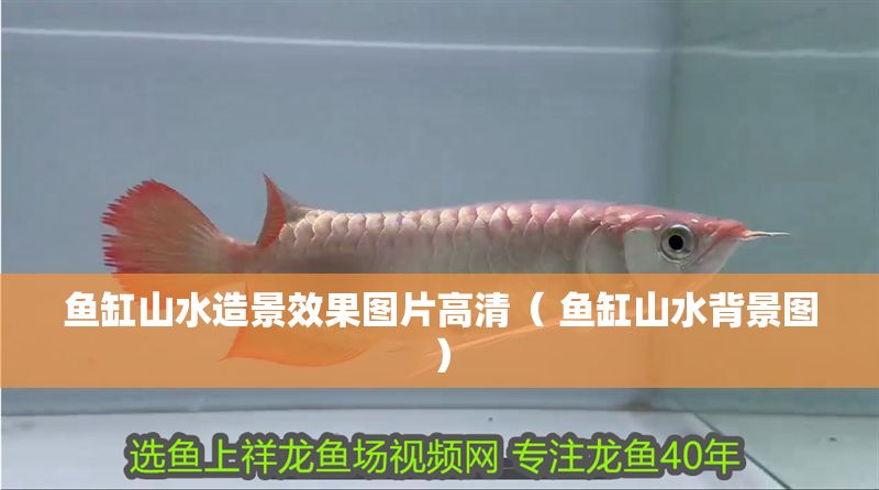 魚缸山水造景效果圖片高清（ 魚缸山水背景圖）