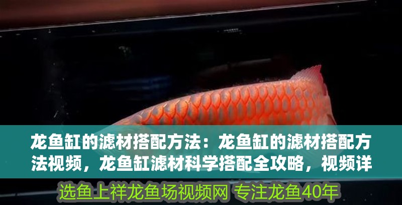 龍魚缸的濾材搭配方法：龍魚缸的濾材搭配方法視頻，龍魚缸濾材科學搭配全攻略，視頻詳解高效過濾系統