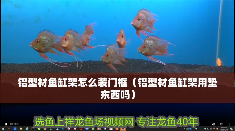 鋁型材魚缸架怎么裝門框(鋁型材魚缸架用墊東西嗎) 龍魚百科 第1張 鋁型材魚缸架怎么裝門框(鋁型材魚缸架用墊東西嗎) 鋁型材魚缸架怎么裝門框(鋁型材魚缸架用墊東西嗎) 龍魚百科 第1張