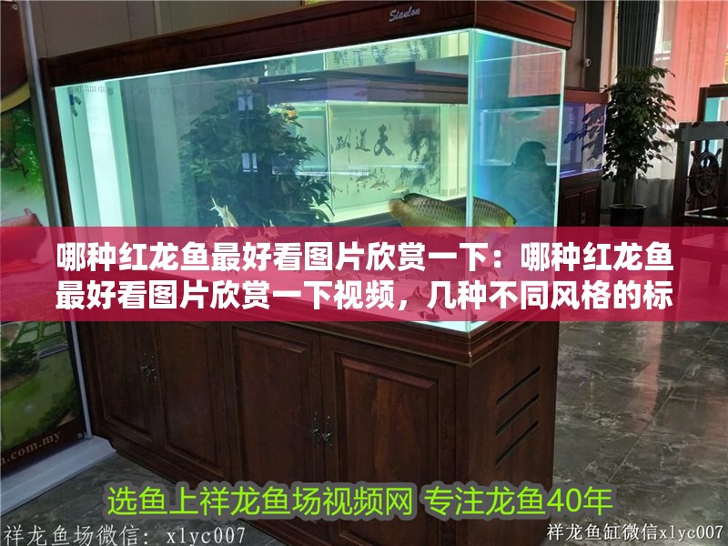 哪種紅龍魚最好看圖片欣賞一下:哪種紅龍魚最好看圖片欣賞一下視頻,幾種不同風(fēng)格的標(biāo)題供你參考,你可以根據(jù)實(shí)際需求進(jìn)行選擇,,驚艷視覺!探尋最美紅龍魚圖片與視頻大賞,絕美之選,哪種紅龍魚最好看?高清圖片及視頻全覽,聚焦顏值巔峰,盤點(diǎn)最好看的紅龍魚(附精美圖片 水族問答 哪種紅龍魚最好看圖片欣賞一下:哪種紅龍魚最好看圖片欣賞一下視頻,幾種不同風(fēng)格的標(biāo)題供你參考,你可以根據(jù)實(shí)際需求進(jìn)行選擇,,驚艷視覺!探尋最美紅龍魚圖片與視頻大賞,絕美之選,哪種紅龍魚最好看?高清圖片及視頻全覽,聚焦顏值巔峰,盤點(diǎn)最好看的紅龍魚(附精美圖片 哪種紅龍魚最好看圖片欣賞一下:哪種紅龍魚最好看圖片欣賞一下視頻,幾種不同風(fēng)格的標(biāo)題供你參考,你可以根據(jù)實(shí)際需求進(jìn)行選擇,,驚艷視覺!探尋最美紅龍魚圖片與視頻大賞,絕美之選,哪種紅龍魚最好看?高清圖片及視頻全覽,聚焦顏值巔峰,盤點(diǎn)最好看的紅龍魚(附精美圖片 水族問答