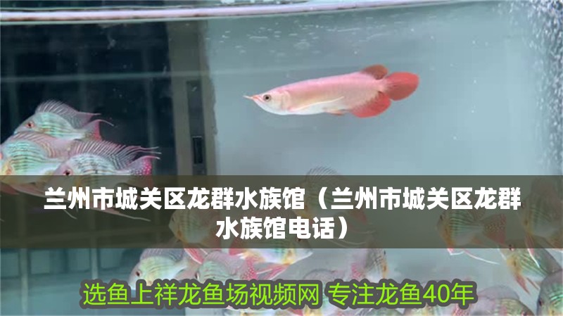 蘭州市城關區龍群水族館（蘭州市城關區龍群水族館電話）